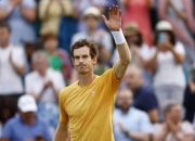 费德勒巅峰对决，穆雷与80激战雄鹿分钟，精彩发挥胜负难料！的简单介绍